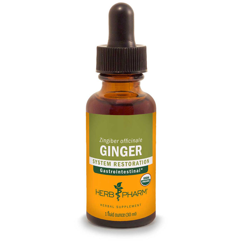 Ginger Liquid Extract (Zingiber officinale)