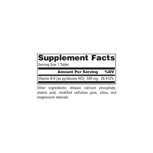 Vitamin B-6 500 mg (100 Tablets)