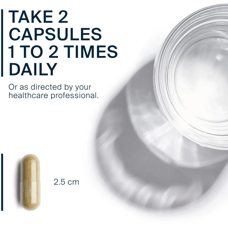 Echinacea Extract 1000 mg (60 Capsules)