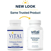 Echinacea Extract 1000 mg (60 Capsules)
