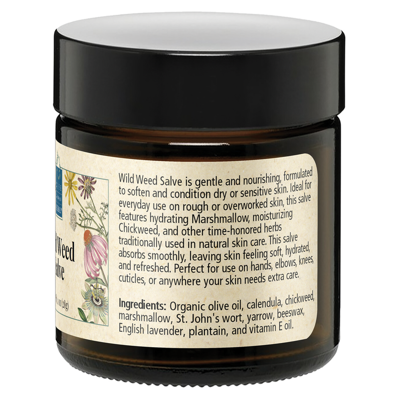 Wild Weed Salve 1 oz.
