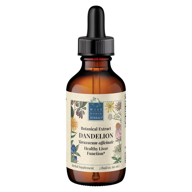 Taraxacum officinale (root) - dandelion (root) (60 ml)