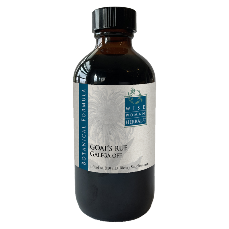 Galega officinalis - goats rue (120 ml)