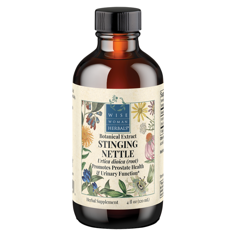 Urtica dioica (root) - stinging nettle (root) (120 ml)