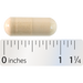 Indolplex (60 Capsules)-Vitamins & Supplements-Integrative Therapeutics-Pine Street Clinic