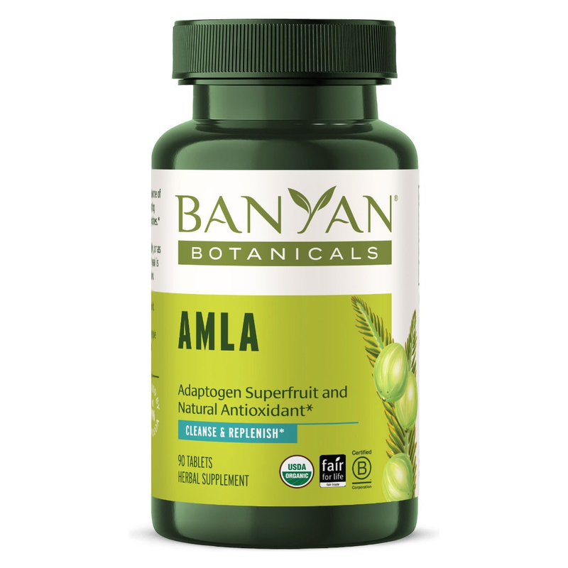 Amla (Amalaki) (90 Tablets)