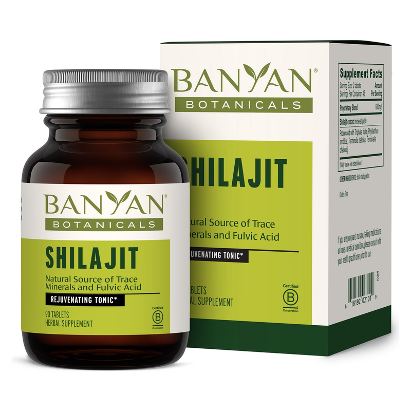 Shilajit (90 Tablets)