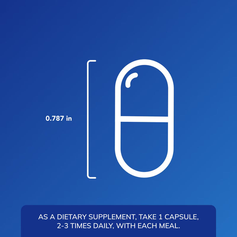 DAO Enzyme (60 Capsules)