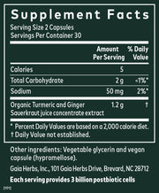 Ginger - Turmeric Postbiotic (60 Capsules)