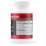 Source Qi (90 Capsules)