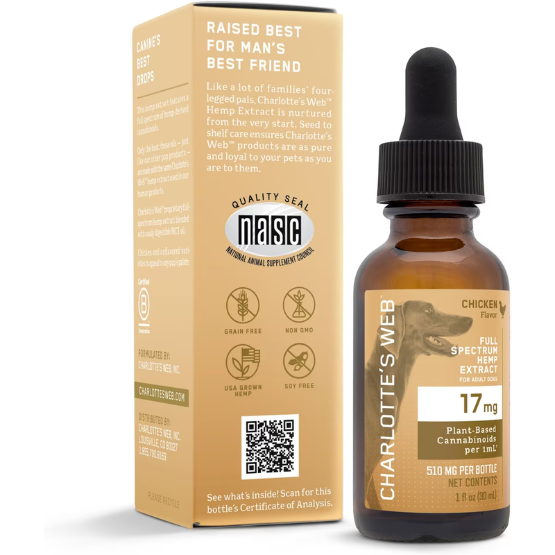 CBD Oil for Dogs