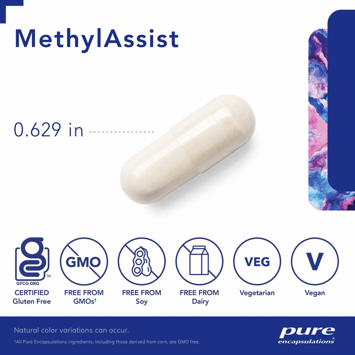 MethylAssist (90 Capsules)