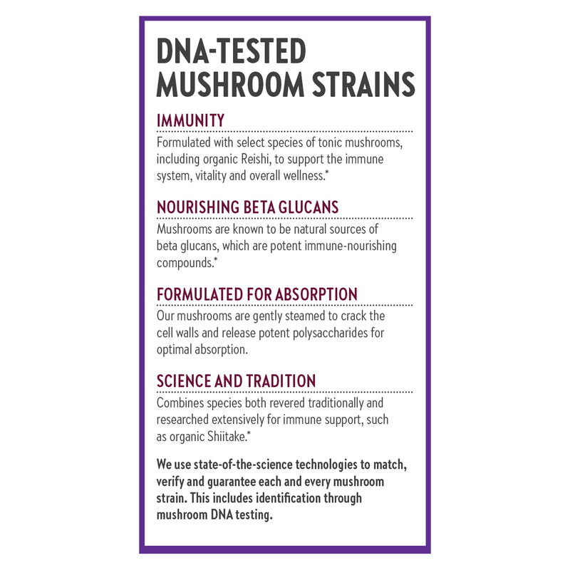 Immune Support Reishi & Shiitake
