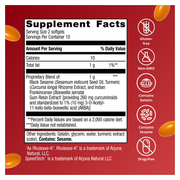 Rapid Relief — Supplement Facts