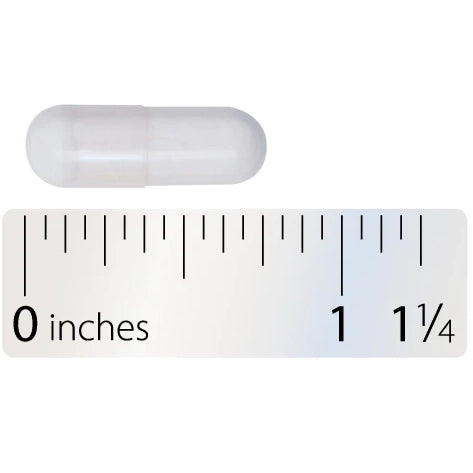 Zinc-Carnosine (60 Capsules)