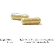 Grape Seed Extract (60 Capsules)