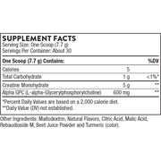 Creatine + Alpha GPC (231 Grams Powder)