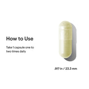 Broccoli Seed Extract (formerly Crucera-SGS) (60 Capsules)