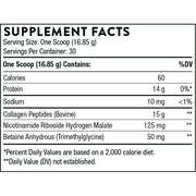 Collagen Fit (506 Grams Powder)