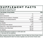 Advanced Pre-Workout (296 Grams Powder)