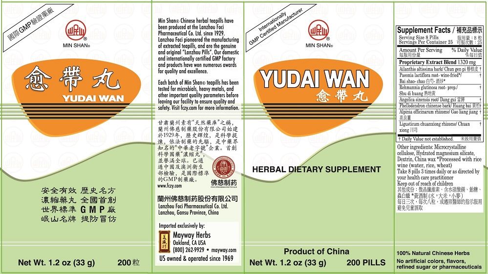 Yu Dai Wan (200 Teapills)-Vitamins & Supplements-Min Shan-Pine Street Clinic