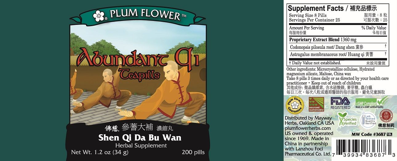 Shen Qi Da Bu Wan (Abundant Qi) (200 Pills)