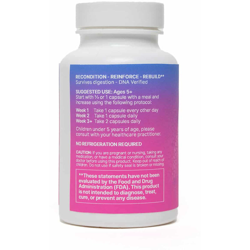 MegaSporeBiotic