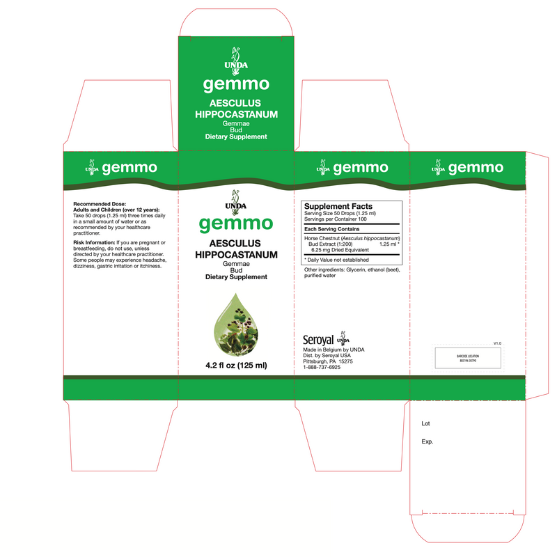 Aesculus Hippocastanum (125 ml)