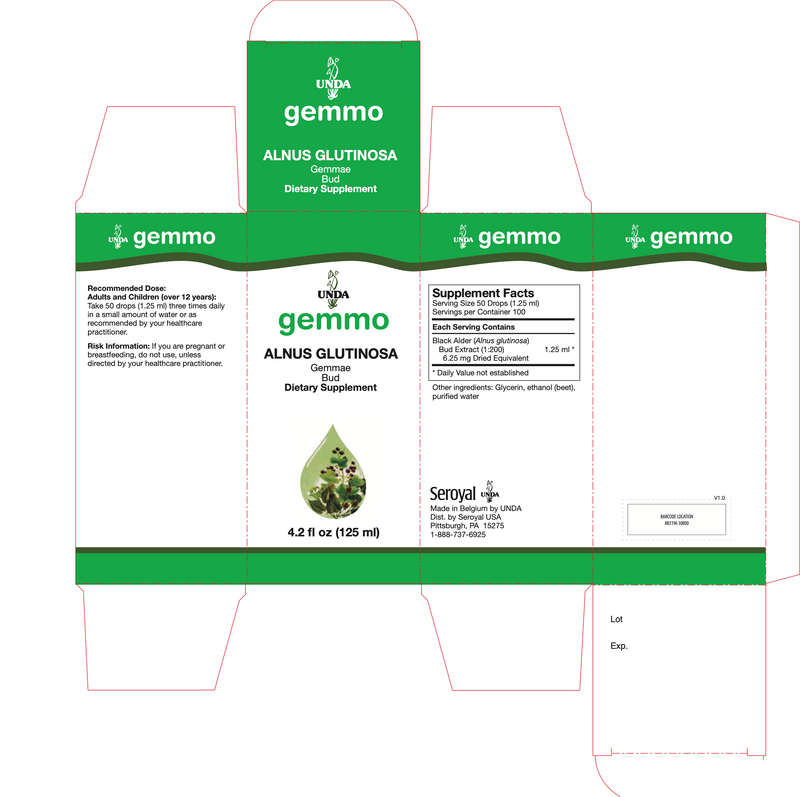 Alnus Glutinosa (125 ml)