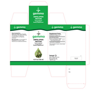 Ampelopsis Veitchii (125 ml)