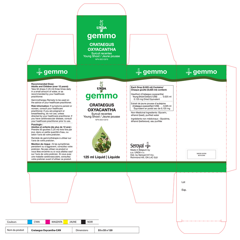 Crataegus Oxyacantha (125 ml)