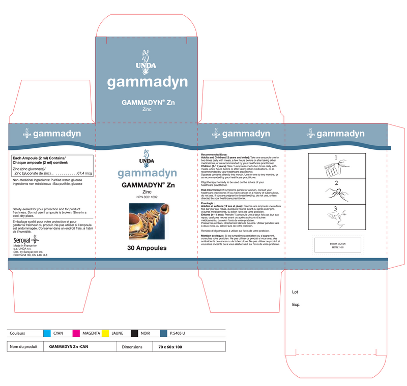 Gammadyn Zn (Zinc) (30 Ampoules)