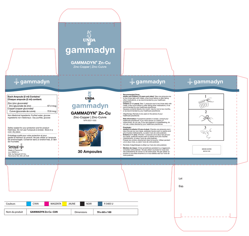 Gammadyn Zn-Cu (Zinc-Copper) (30 Ampoules)