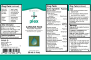 Carduus Plex (30 ml)