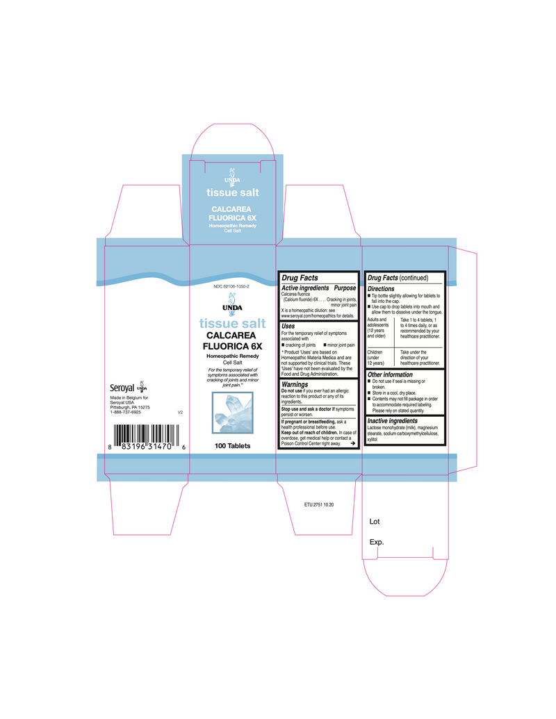 Calcarea Fluorica 6X (100 Tablets)
