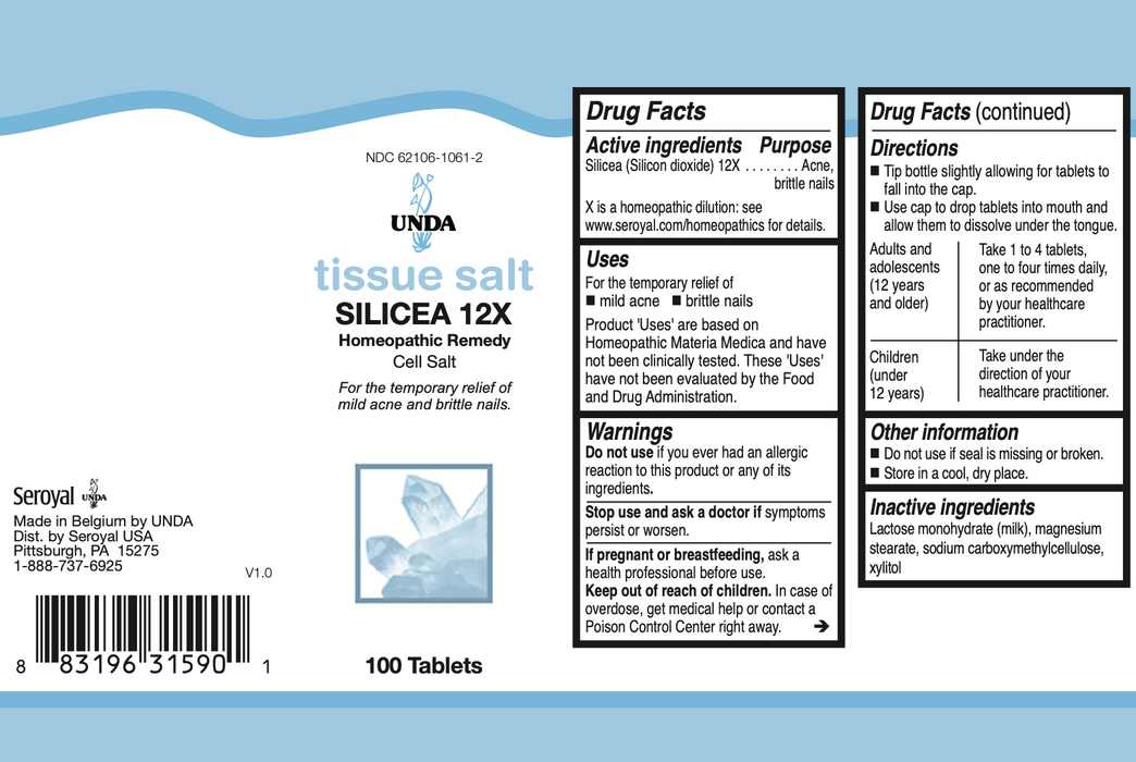 Silicea 6X (100 Tablets)-Vitamins & Supplements-UNDA-Pine Street Clinic
