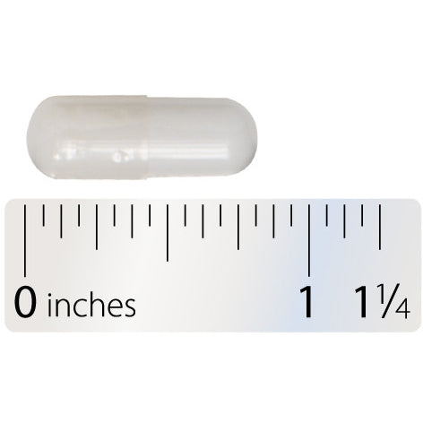 NAC (600 mg) (60 Capsules)