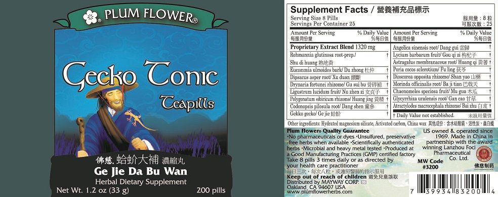 Gecko Tonic Teapills - Ge Jie Da Bu Wan (200 Pills)-Vitamins & Supplements-Plum Flower-Pine Street Clinic