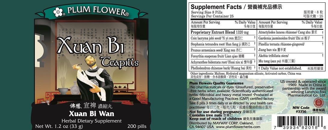 Xuan Bi Teapills (Xuan Bi Tang Wan) (200 Pills)-Vitamins & Supplements-Plum Flower-Pine Street Clinic