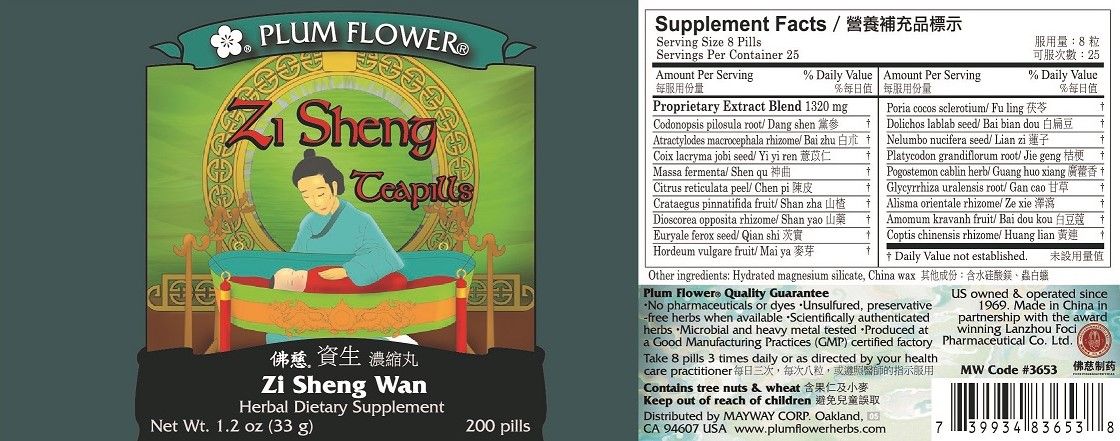 Zi Sheng Wan (200 Teapills)-Chinese Formulas-Plum Flower-Pine Street Clinic