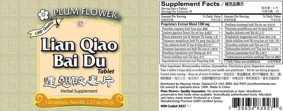 Lian Qiao Bai Du Pian (120 Tablets)-Plum Flower-Pine Street Clinic