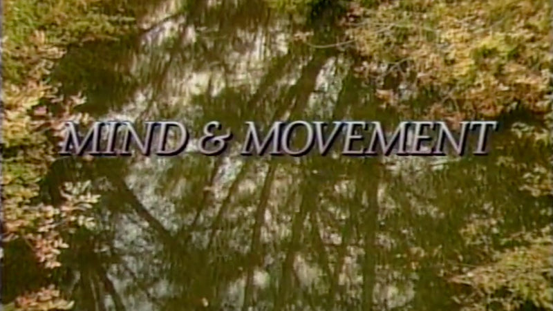 Strengthening Your Immune System through Mind and Movement