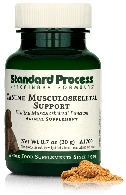 Canine Musculoskeletal Support, 0.7 oz (20 g)-Vitamins & Supplements-Standard Process Inc-Pine Street Clinic