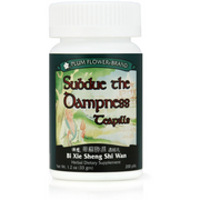 Subdue The Dampness Teapills (Bi Xie Sheng Shi Wan) (200 Teapills)