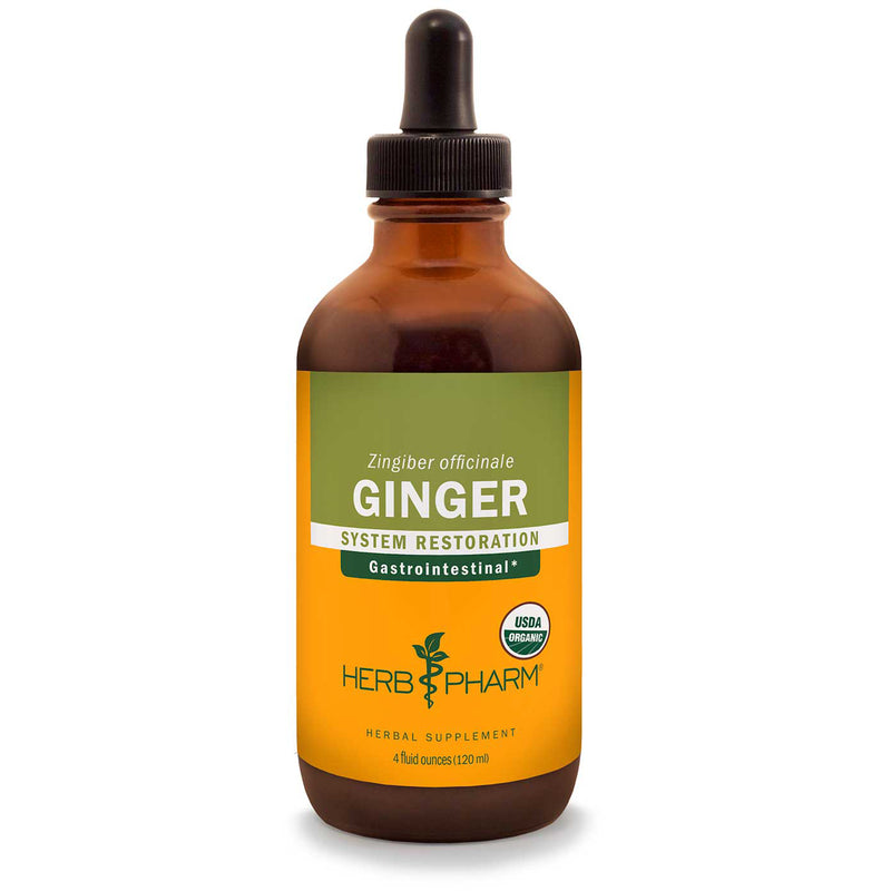 Ginger Liquid Extract (Zingiber officinale)
