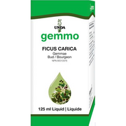 Ficus Carica (125 ml)