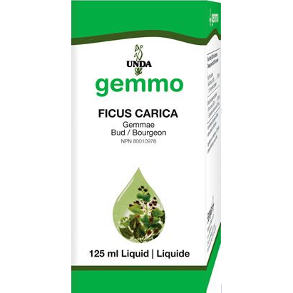 Ficus Carica (125 ml)