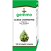 Ulmus Campestris (125 ml)-Vitamins & Supplements-UNDA-Pine Street Clinic