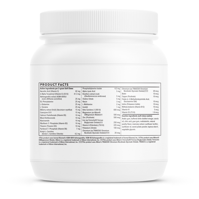 Canine Geriatric Basics