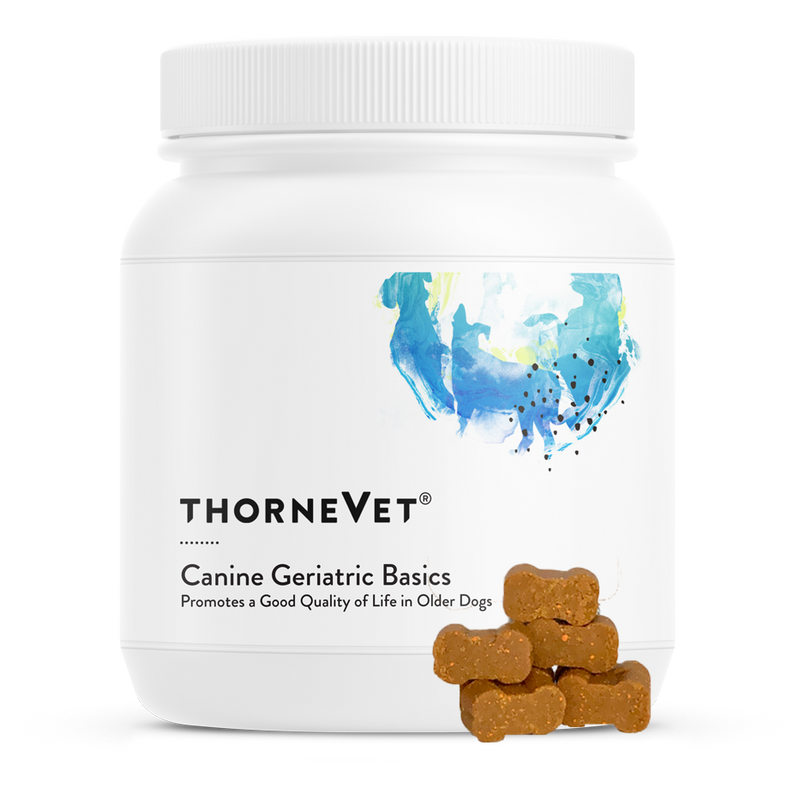 Canine Geriatric Basics